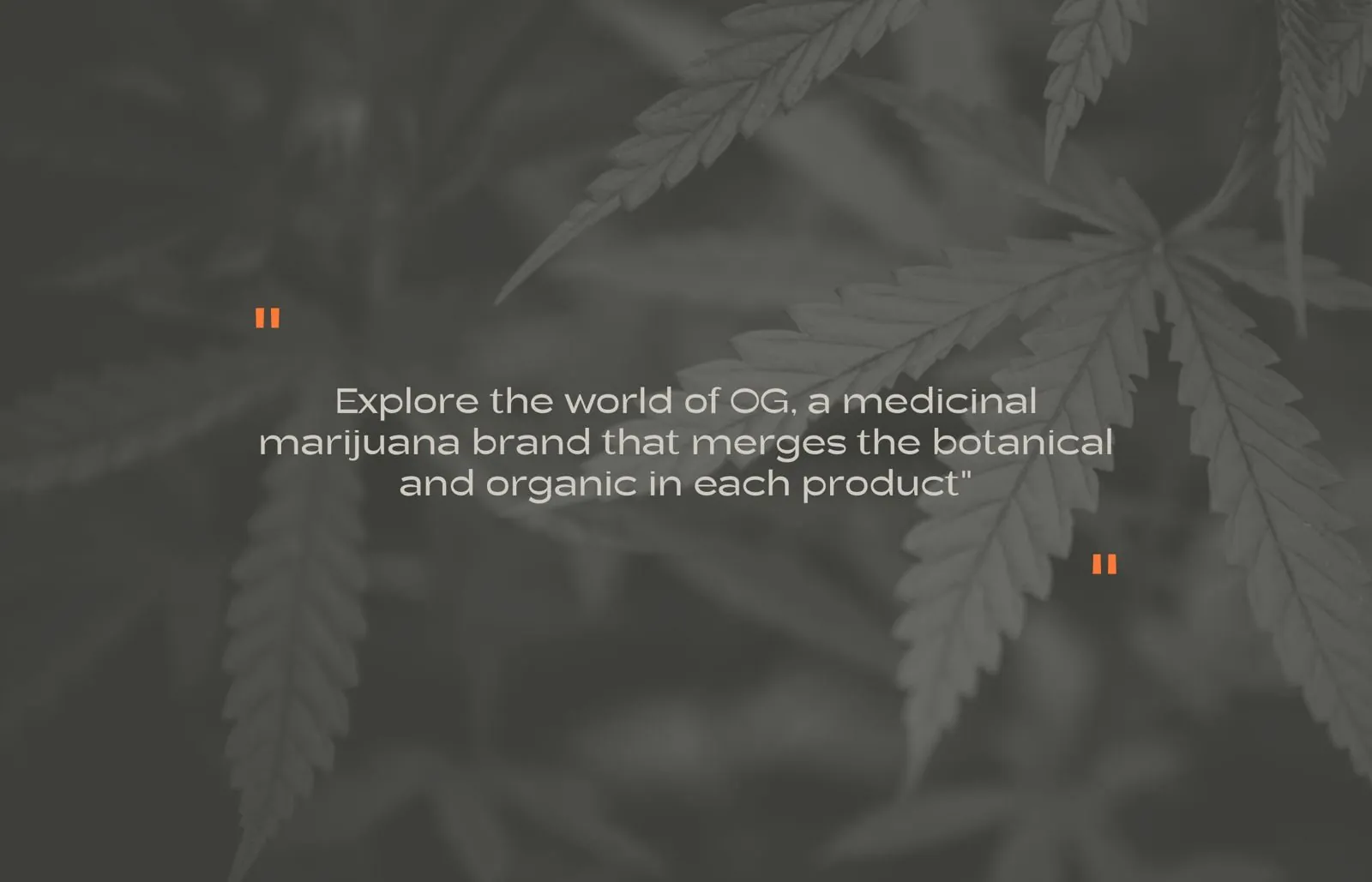 Original Good brand statement over leaves