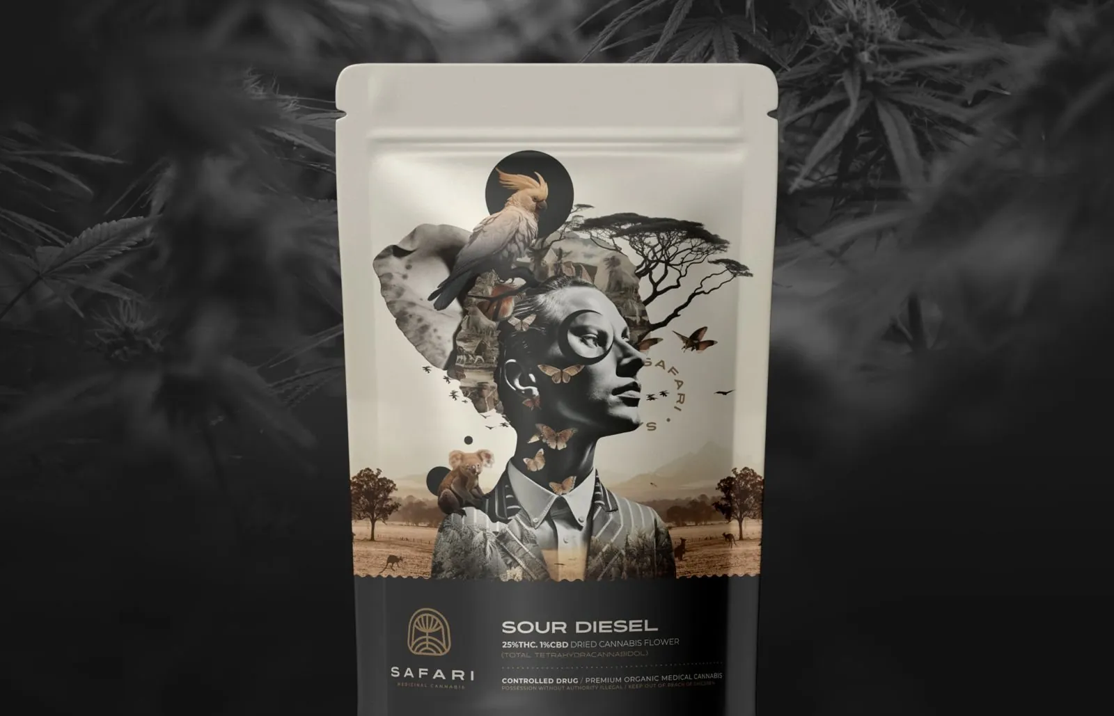 Safari pouch in a dark landscape