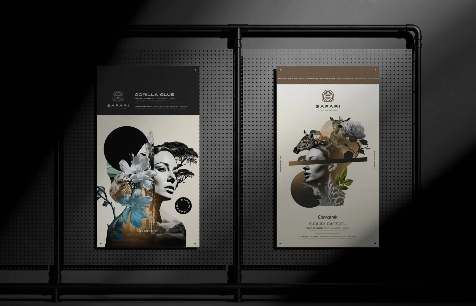 Safari packaging range in a display tray